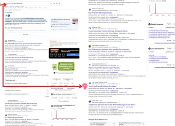 SEO services case study: organic traffic growth